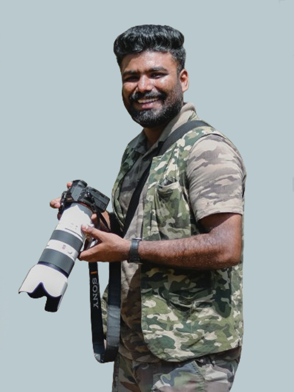 Development Team Member - Web Developer